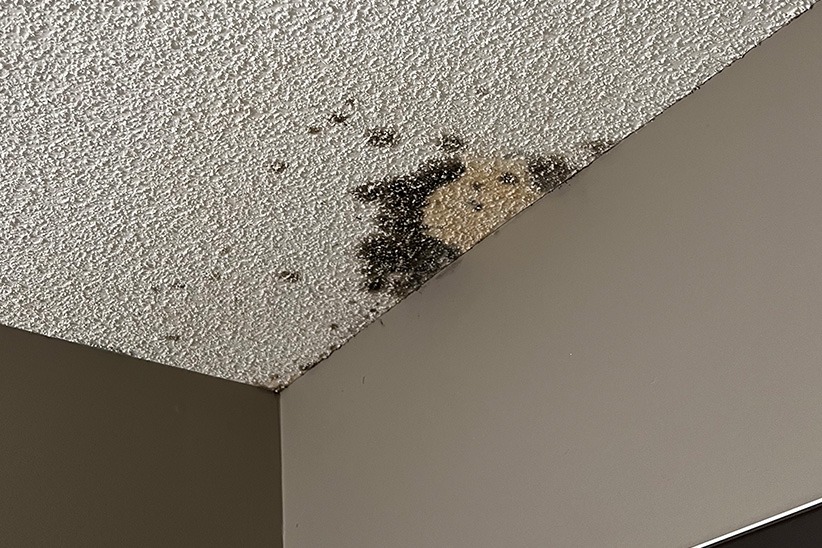 Calgary Ceiling Water Stains